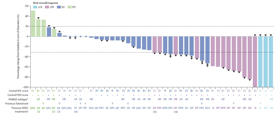 HER2+转移性乳腺癌治疗突破:泽尼达妥单抗联合哌柏西利/氟维司群,无需化疗实现76%肿瘤缩小 3 图片