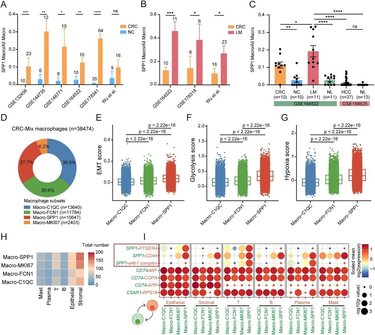巨噬细胞:结直肠癌进展、转移与预后的关键推手,或成未来靶向治疗新方向 2 图片