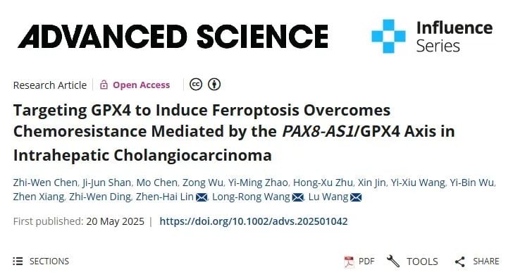攻克肝内胆管癌化疗耐药:靶向GPX4诱导铁死亡,提升吉西他滨与顺铂疗效 1 图片