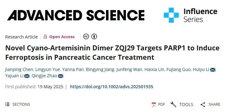 靶向PARP1诱导铁死亡:新型青蒿素衍生物ZQJ29为胰腺癌治疗带来曙光 1 图片