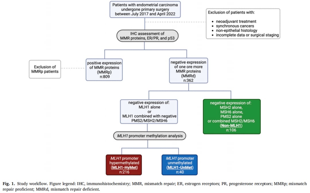 MMRd子宫内膜癌并非都一样:MLH1高甲基化亚型与侵袭性特征和预后趋势分析 1 图片