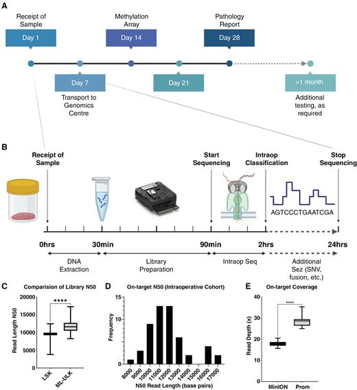 革新脑肿瘤诊断:ROBIN纳米孔技术实现2小时快速分类与24小时全面分子图谱 2 图片