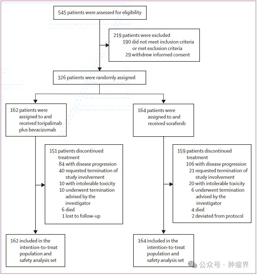 特瑞普利单抗联合贝伐珠单抗:晚期肝细胞癌一线治疗新突破,生存期显著延长 2 Image