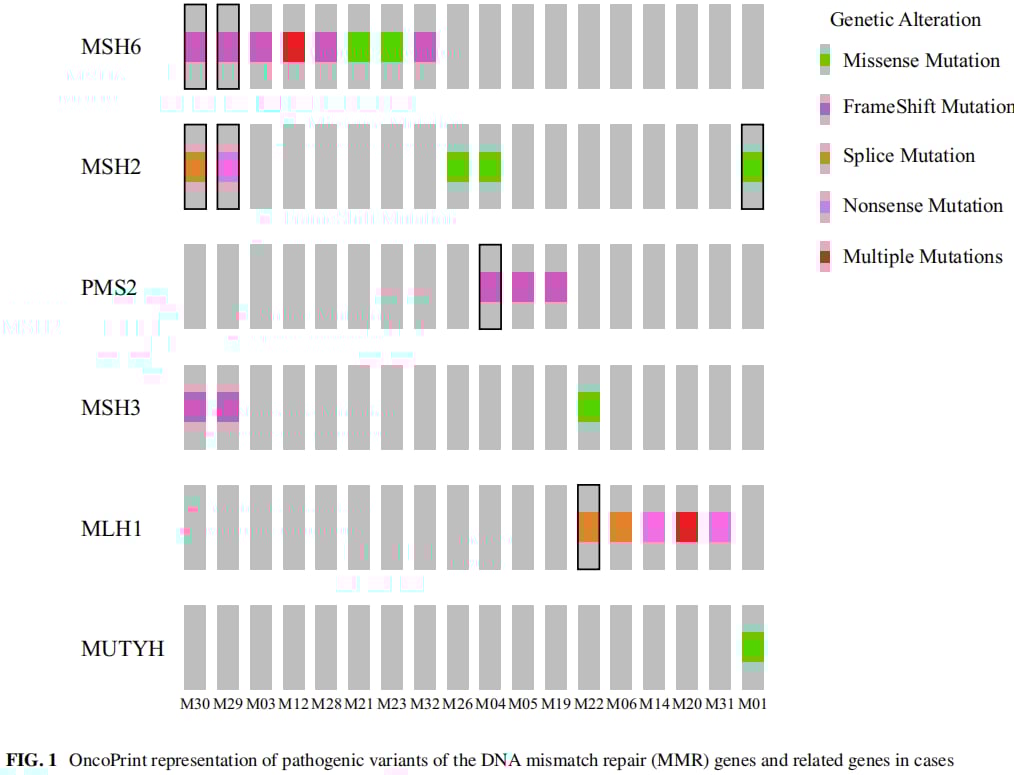 MSI-H/MMRd胰腺癌患者新希望:大规模研究揭示术后生存期显著延长 4 图片