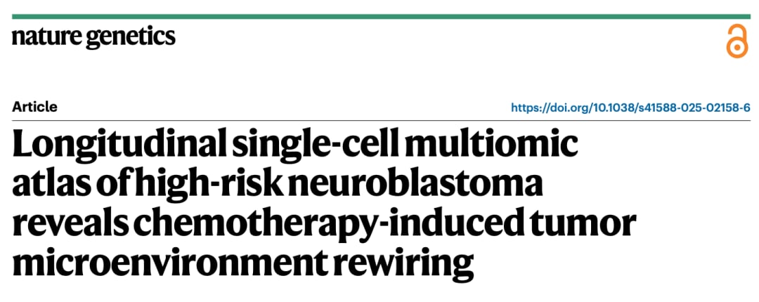 揭秘高危神经母细胞瘤化疗耐药:肿瘤微环境重塑与HB-EGF的关键作用 1 图片
