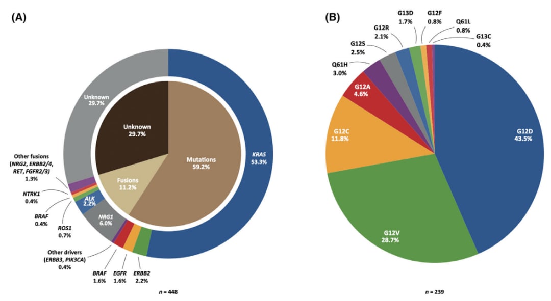 深入解析肺浸润性黏液腺癌:临床病理、分子特征与靶向治疗新进展 3 图片