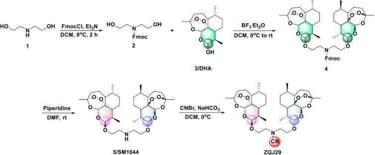 靶向PARP1诱导铁死亡:新型青蒿素衍生物ZQJ29为胰腺癌治疗带来曙光 2 图片