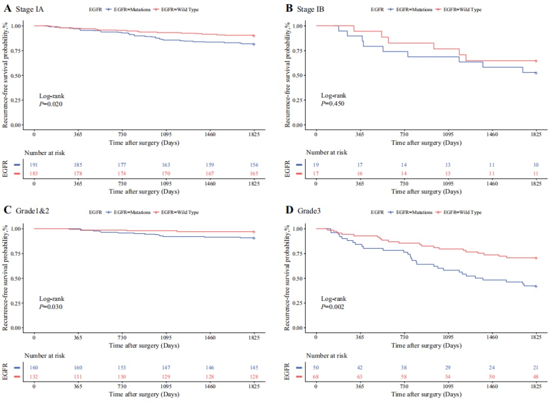 早期肺腺癌EGFR突变与复发:最新研究揭示预后影响及靶向治疗策略 5 图片