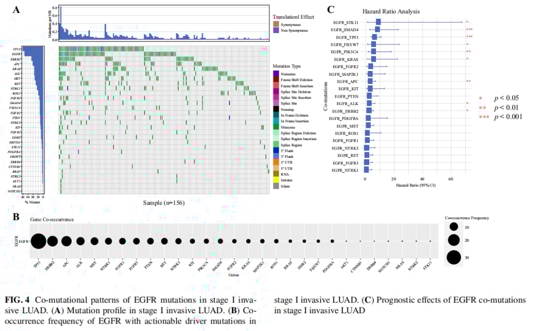 早期肺腺癌EGFR突变与复发:最新研究揭示预后影响及靶向治疗策略 7 图片