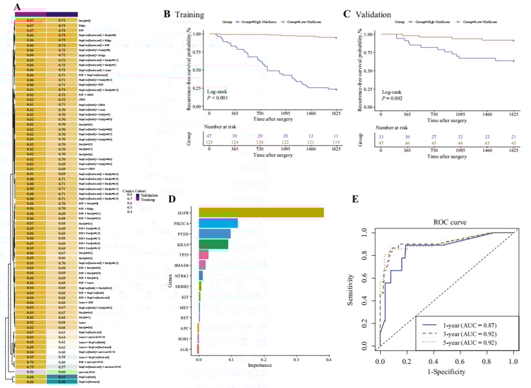 早期肺腺癌EGFR突变与复发:最新研究揭示预后影响及靶向治疗策略 8 图片