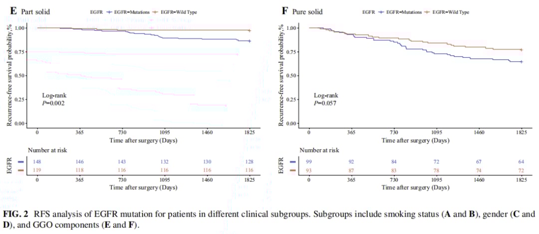 早期肺腺癌EGFR突变与复发:最新研究揭示预后影响及靶向治疗策略 4 图片