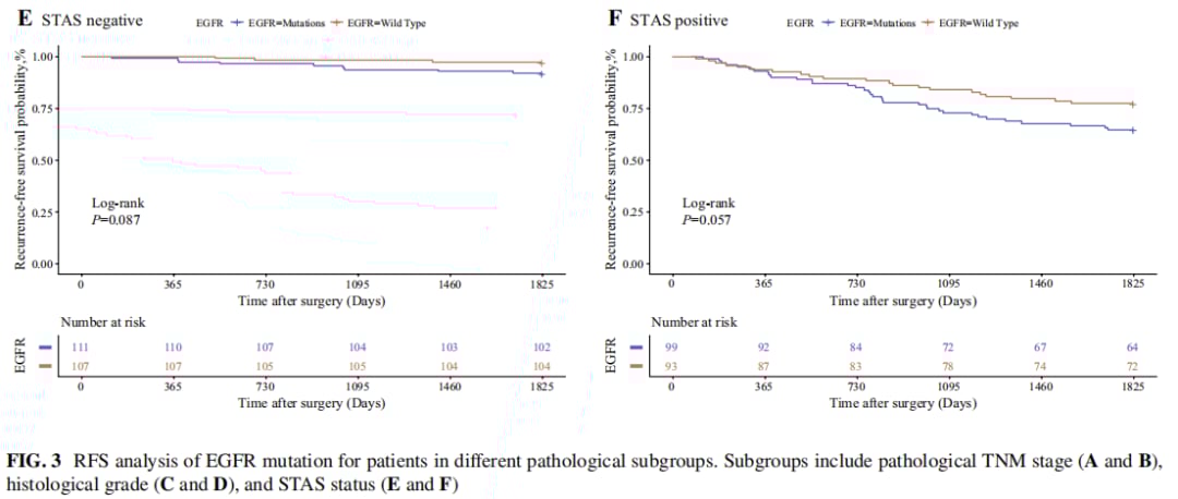 早期肺腺癌EGFR突变与复发:最新研究揭示预后影响及靶向治疗策略 6 图片