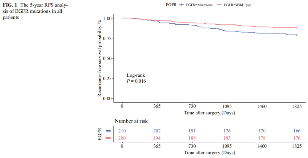 早期肺腺癌EGFR突变与复发:最新研究揭示预后影响及靶向治疗策略 2 图片