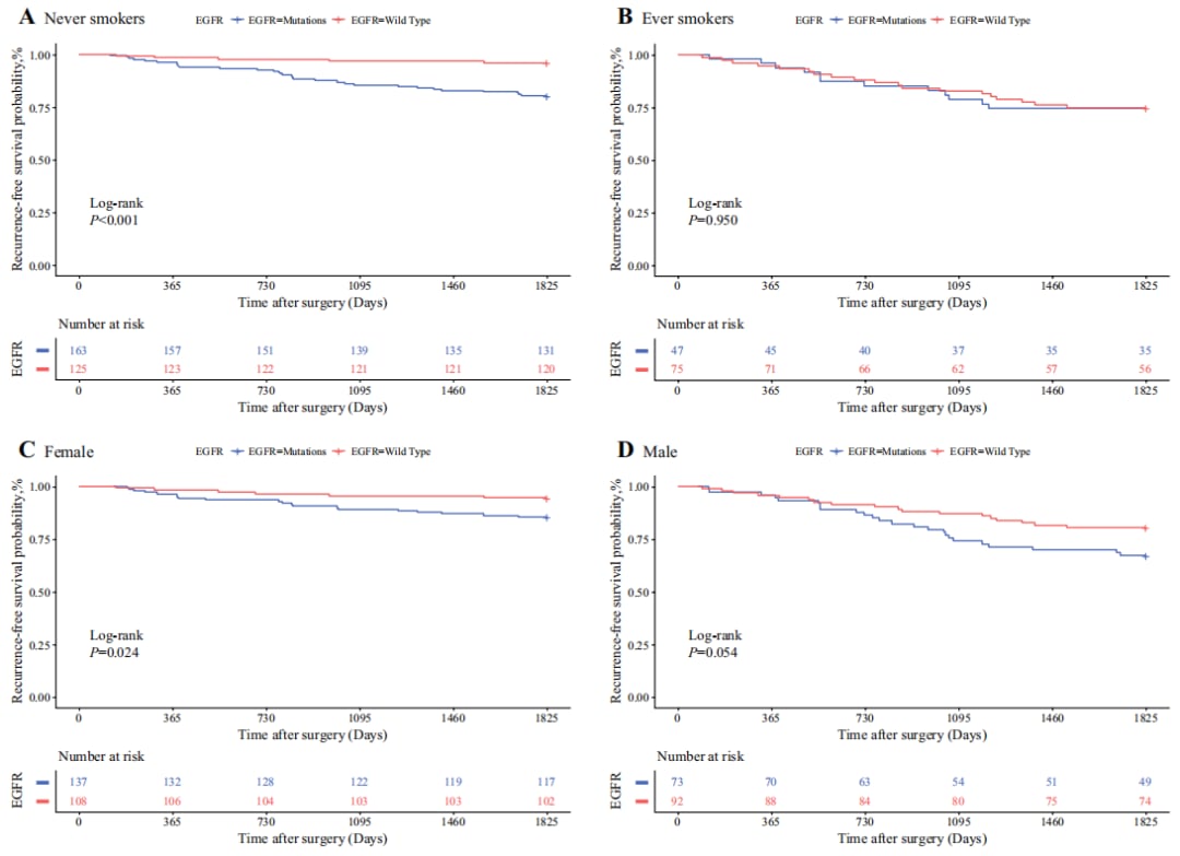 早期肺腺癌EGFR突变与复发:最新研究揭示预后影响及靶向治疗策略 3 图片