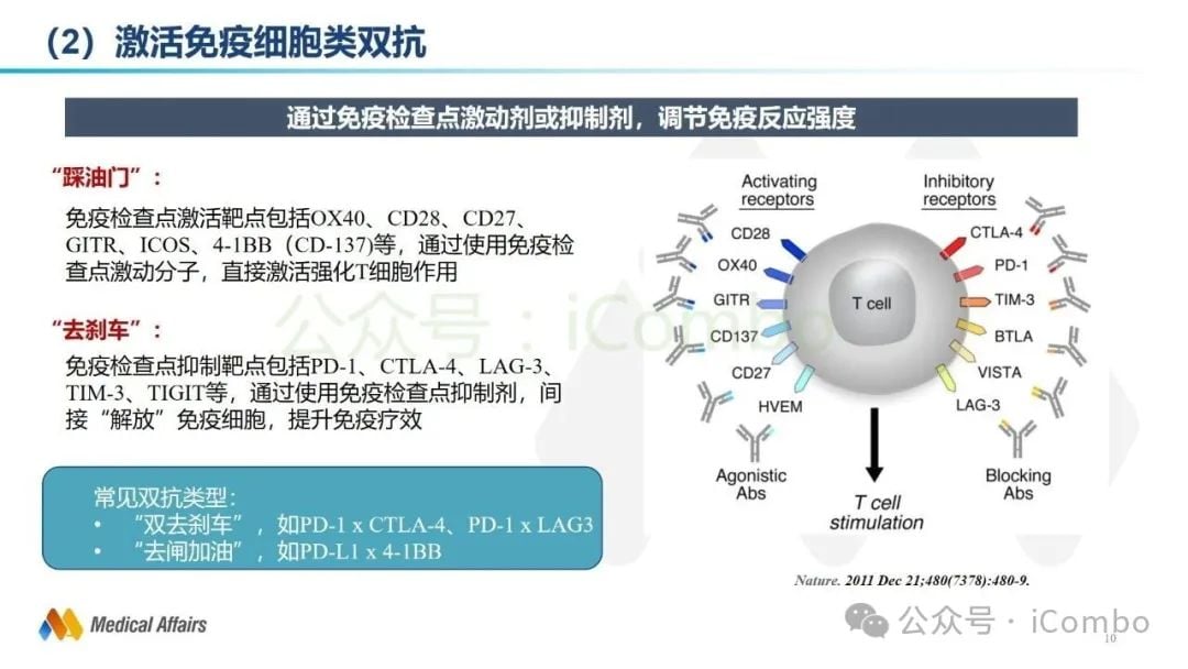 癌症治疗新突破:双特异性抗体(双抗)作用机制与药物全解析 10 图片