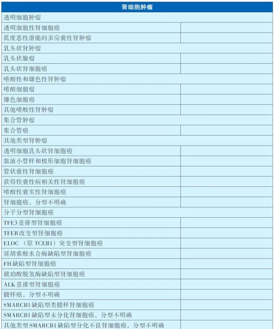 深度解析2025版CACA肾癌指南:掌握最新诊断、分期与病理分型 2 图片