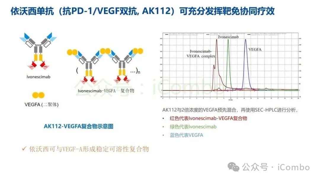 癌症治疗新突破:双特异性抗体(双抗)作用机制与药物全解析 25 图片