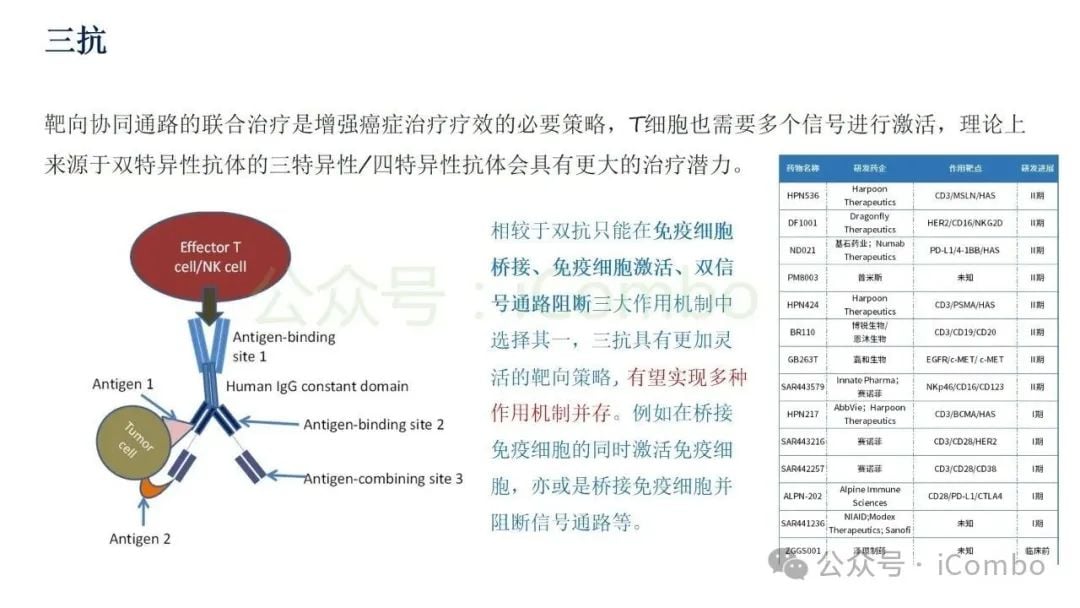癌症治疗新突破:双特异性抗体(双抗)作用机制与药物全解析 41 图片