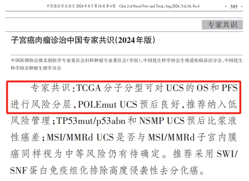 子宫内膜癌精准治疗:分子分型还不够,NGS多基因检测为何至关重要? 7 图片