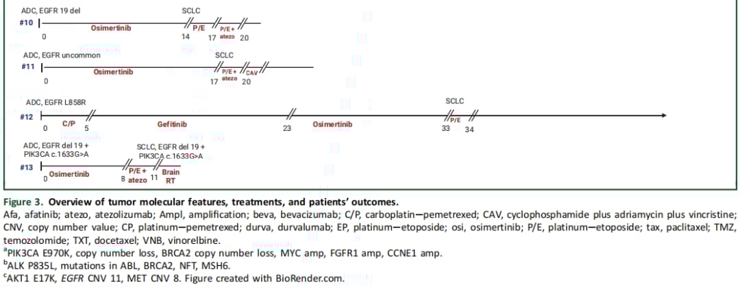 肺癌EGFR靶向药耐药后转化为小细胞肺癌:最新治疗方案与预后分析 6 图片