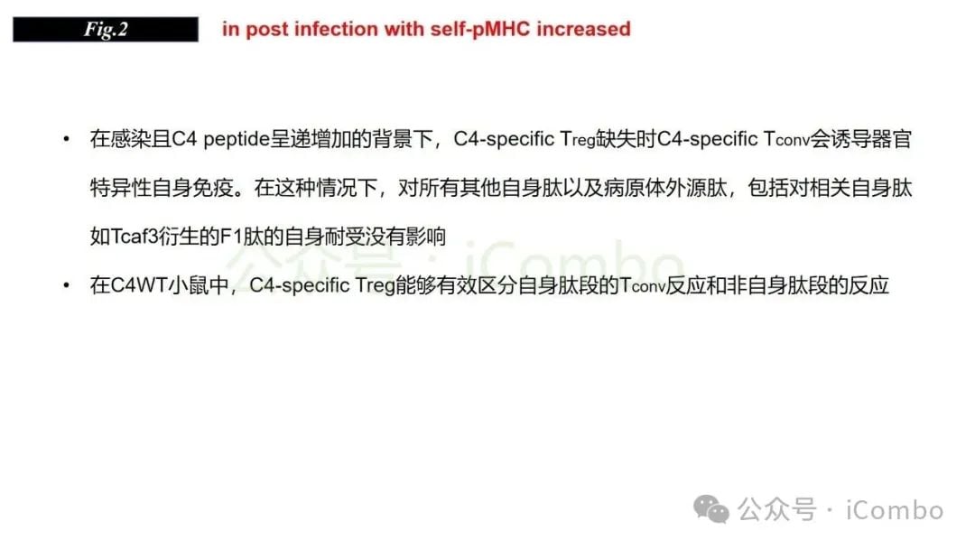 感染与自身免疫:调节性T细胞(Treg)如何守护机体平衡? 13 图片