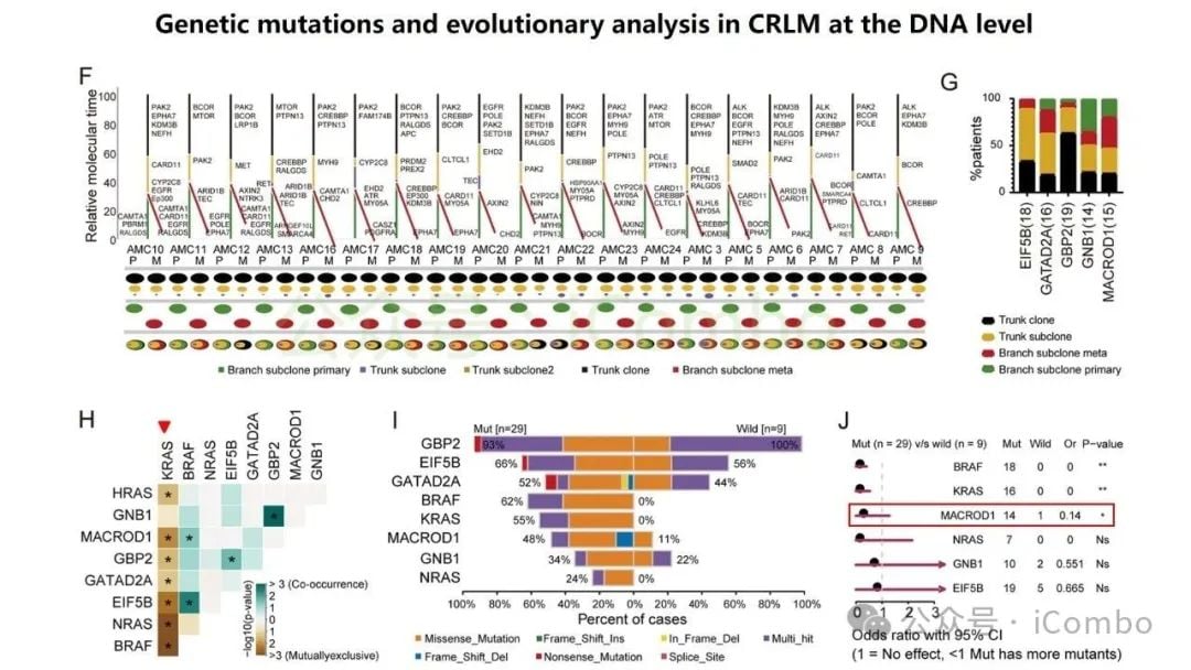 结直肠癌肝转移新突破:GNB1基因或成免疫治疗关键靶点 7 图片