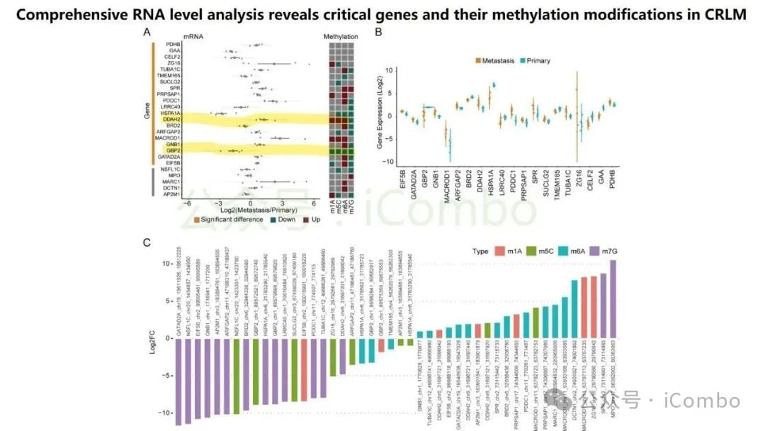 结直肠癌肝转移新突破:GNB1基因或成免疫治疗关键靶点 8 图片