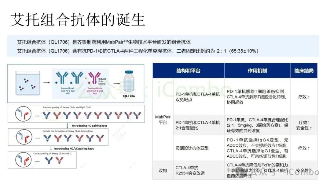 癌症治疗新突破:双特异性抗体(双抗)作用机制与药物全解析 31 图片
