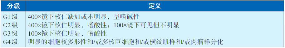 深度解析2025版CACA肾癌指南:掌握最新诊断、分期与病理分型 5 图片