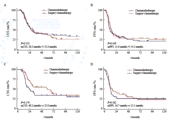 食管小细胞癌生存率有多高?最新研究对比手术与放化疗效果,揭示最佳治疗策略 2 图片