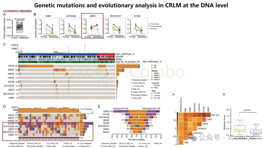 结直肠癌肝转移新突破:GNB1基因或成免疫治疗关键靶点 6 图片