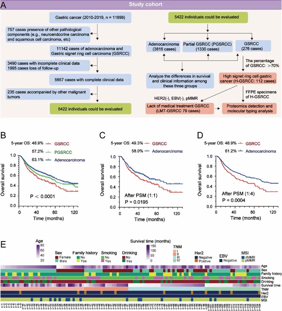 胃印戒细胞癌治疗新突破:来那替尼或成“无药可用”患者新希望 1 图片