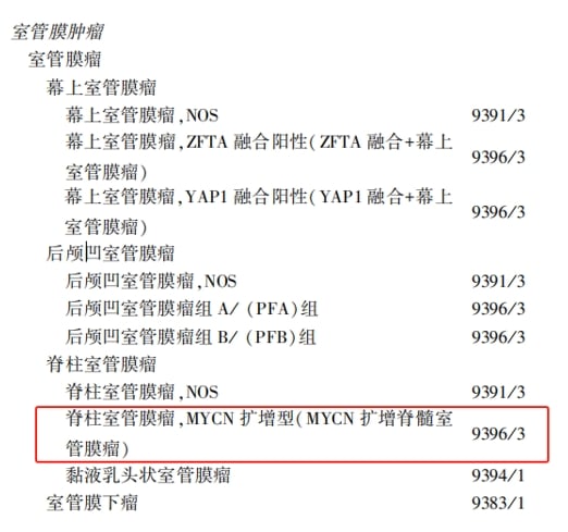 脑胶质瘤等中枢神经系统肿瘤治疗前,为何必须做基因检测? 25 图片