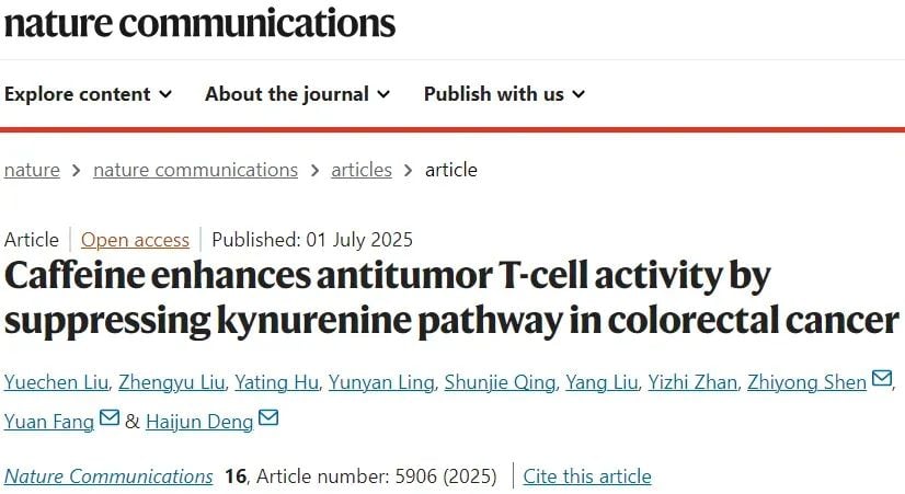 结直肠癌治疗新突破:咖啡因可显著提升PD-1免疫疗法疗效 1 咖啡因增强结直肠癌免疫治疗的研究机制图