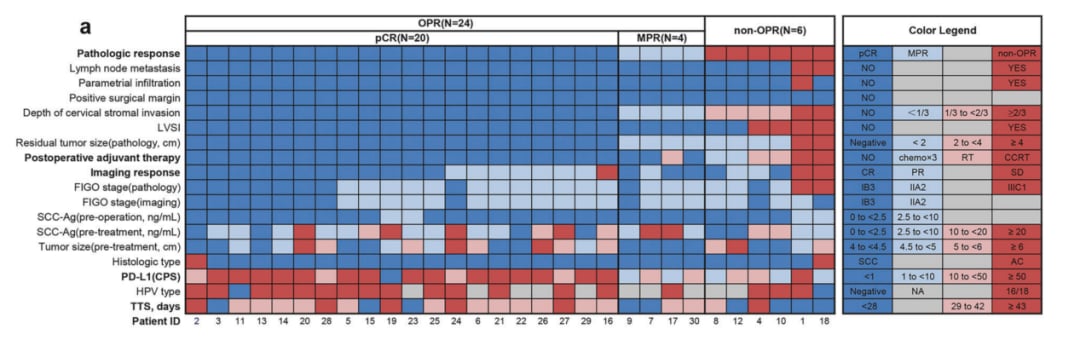 宫颈癌新辅助治疗重大进展:替雷利珠单抗联合化疗pCR率达66.7% 2 图片