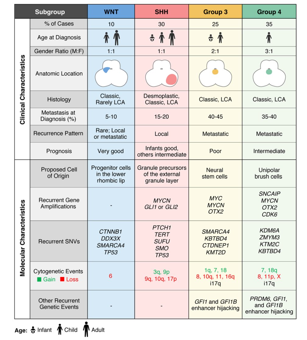 脑胶质瘤等中枢神经系统肿瘤治疗前,为何必须做基因检测? 12 图片