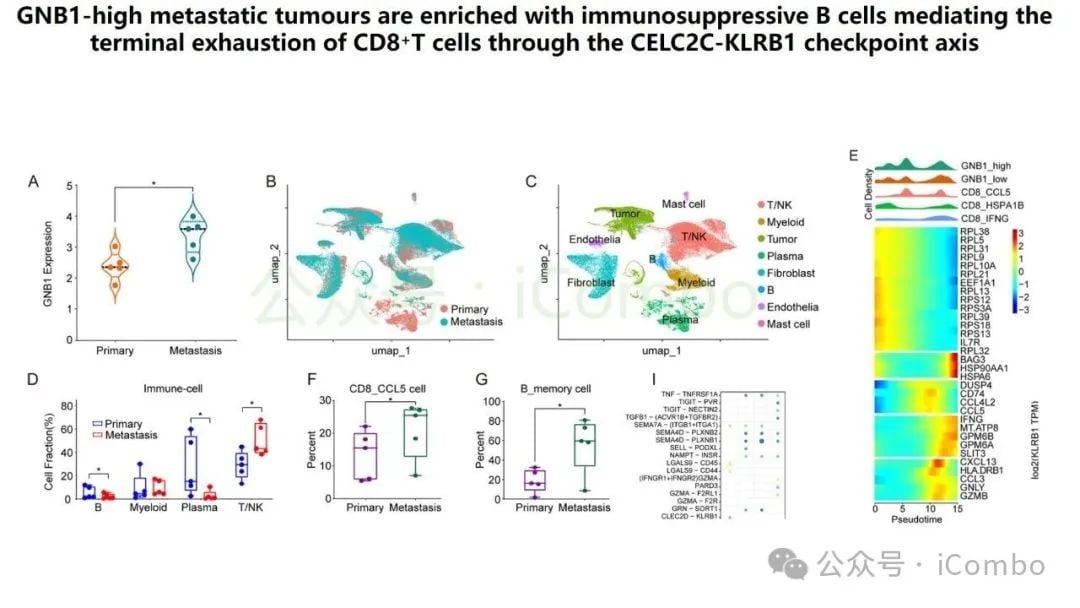 结直肠癌肝转移新突破:GNB1基因或成免疫治疗关键靶点 14 图片