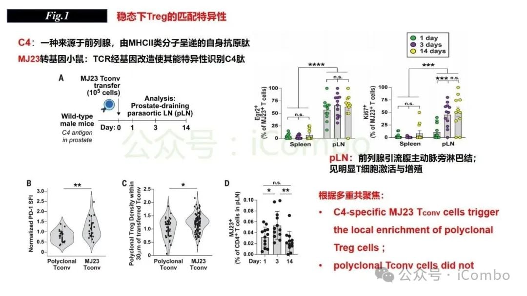 感染与自身免疫:调节性T细胞(Treg)如何守护机体平衡? 5 图片