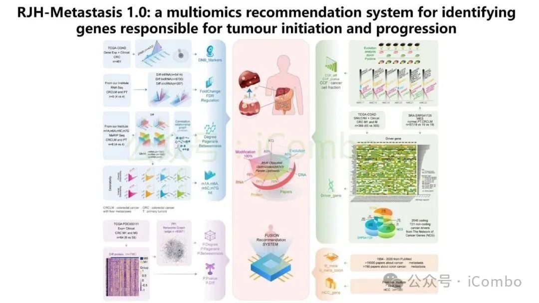 结直肠癌肝转移新突破:GNB1基因或成免疫治疗关键靶点 4 图片