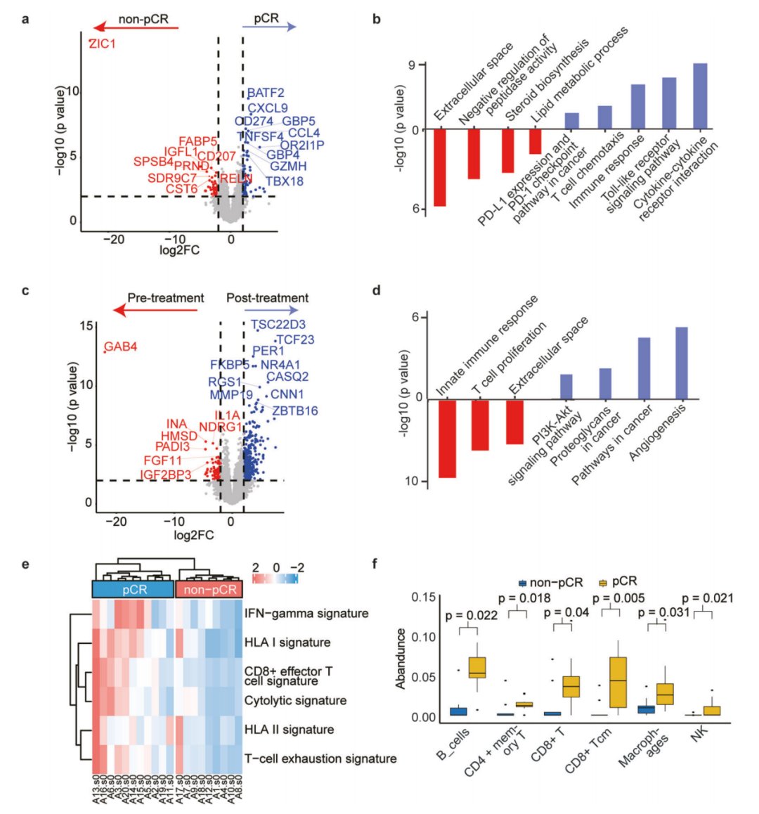 宫颈癌新辅助治疗重大进展:替雷利珠单抗联合化疗pCR率达66.7% 4 图片