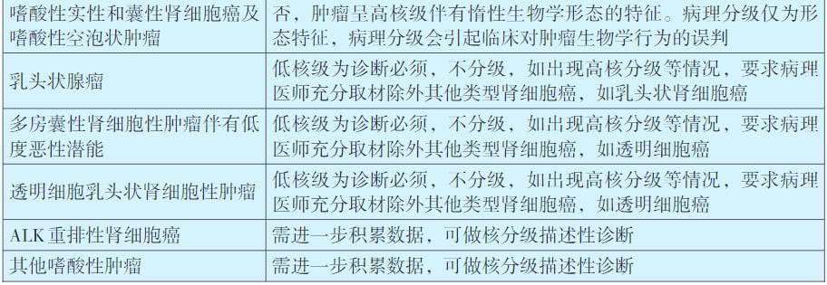 深度解析2025版CACA肾癌指南:掌握最新诊断、分期与病理分型 7 图片