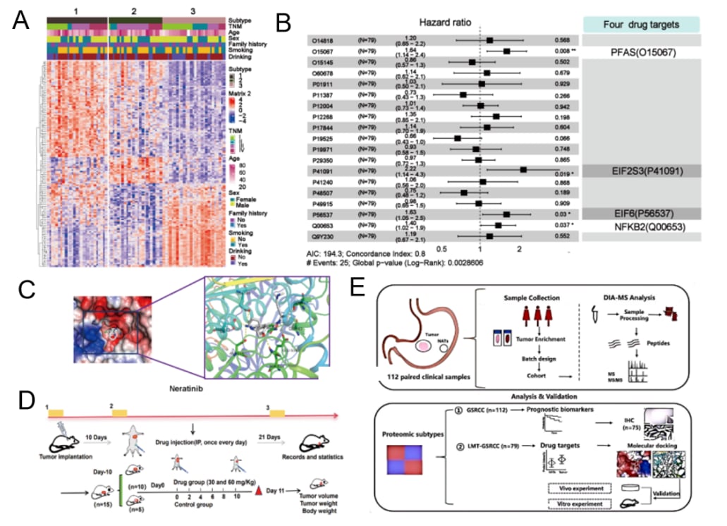 胃印戒细胞癌治疗新突破:来那替尼或成“无药可用”患者新希望 4 图片