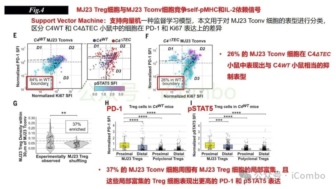 感染与自身免疫:调节性T细胞(Treg)如何守护机体平衡? 17 图片
