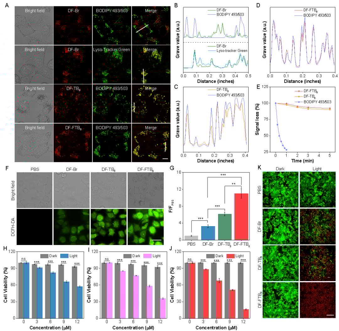 光动力治疗新突破:新型光敏剂在乳腺癌治疗中展现高效杀伤力 5 图片