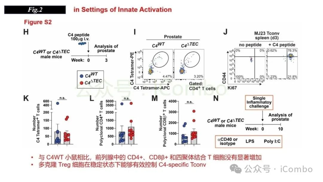 感染与自身免疫:调节性T细胞(Treg)如何守护机体平衡? 9 图片