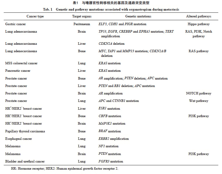 揭秘肿瘤转移:为什么癌细胞会“偏爱”肝、肺、骨等特定器官? 1 图片