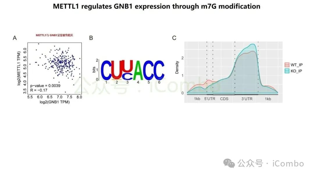 结直肠癌肝转移新突破:GNB1基因或成免疫治疗关键靶点 12 图片