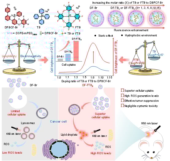 光动力治疗新突破:新型光敏剂在乳腺癌治疗中展现高效杀伤力 2 图片