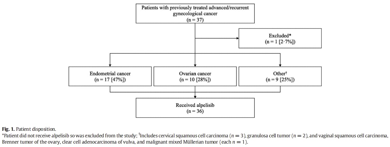 子宫内膜癌精准治疗:分子分型还不够,NGS多基因检测为何至关重要? 13 图片