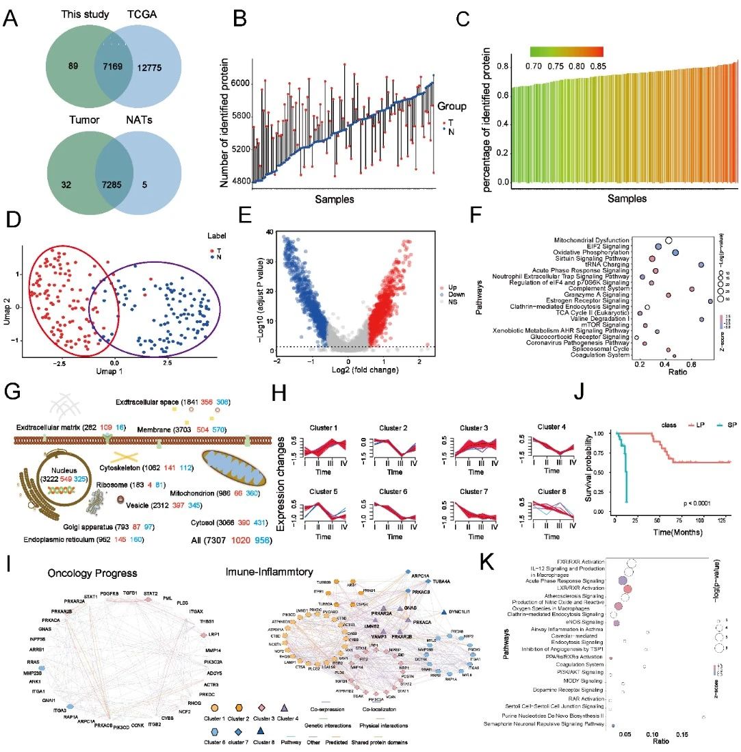 胃印戒细胞癌治疗新突破:来那替尼或成“无药可用”患者新希望 2 图片